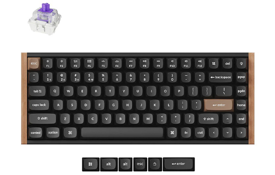 View_-_SFV22H2F__back_logo